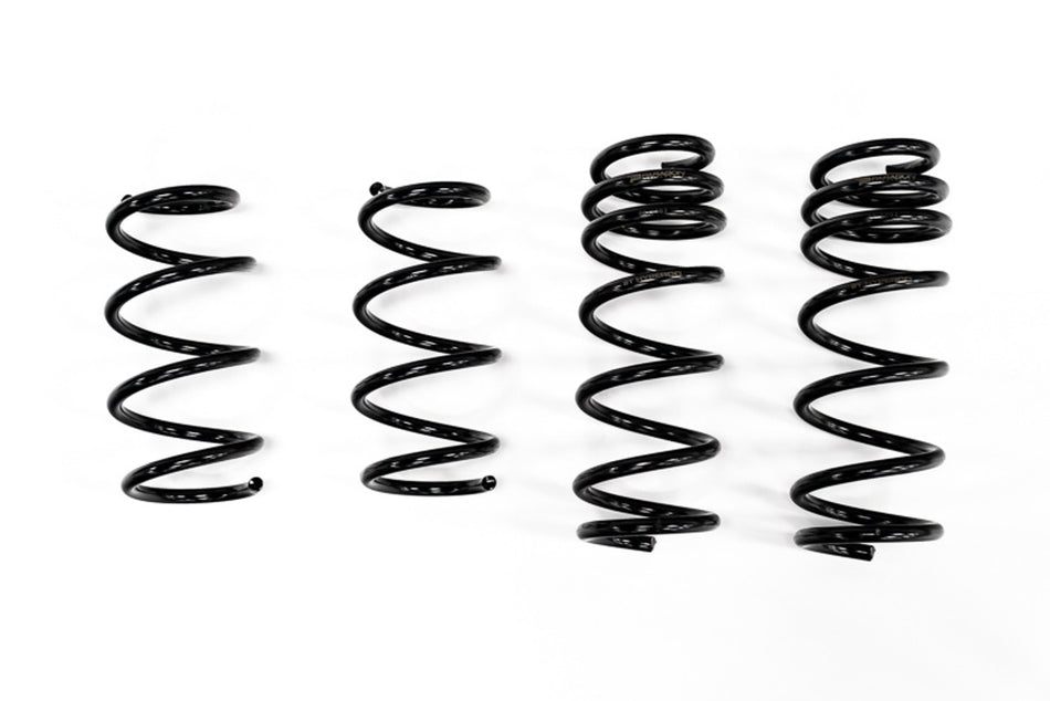 Paragon Performance - Paragon Performance 1" Hyperco Lowering Springs - C8 Corvette - The Speed Depot