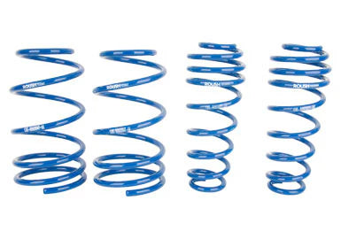 2005-2014 Mustang Lowering Springs